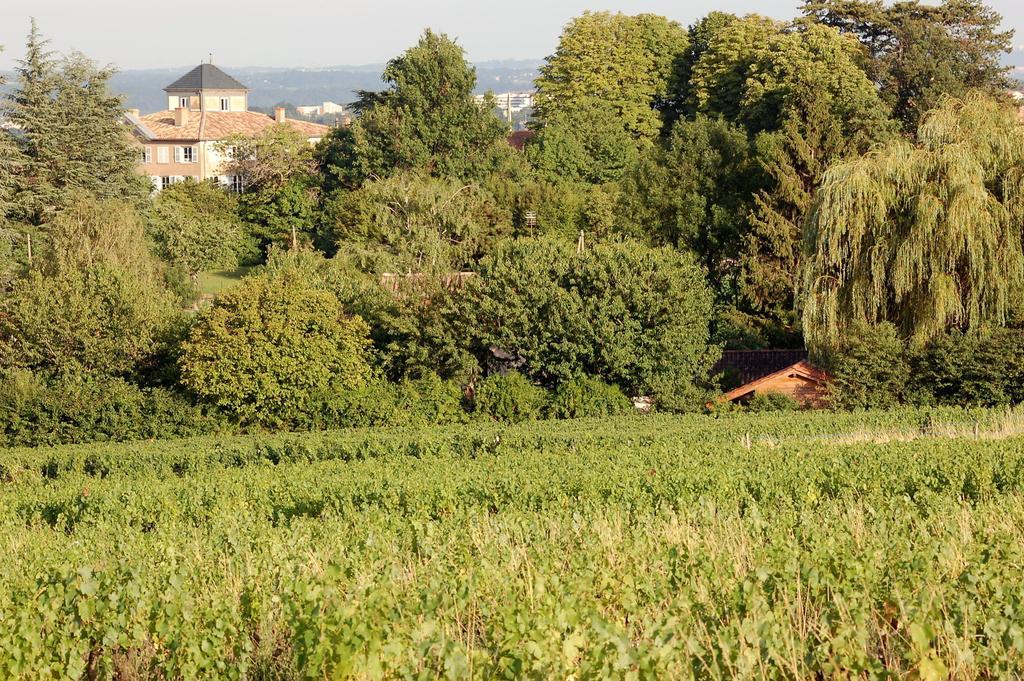 مبيت وإفطار Blacé Le Montellier المظهر الخارجي الصورة