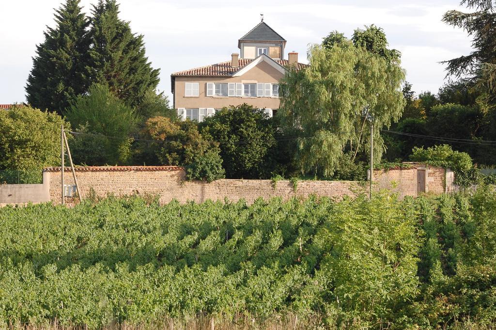 مبيت وإفطار Blacé Le Montellier المظهر الخارجي الصورة